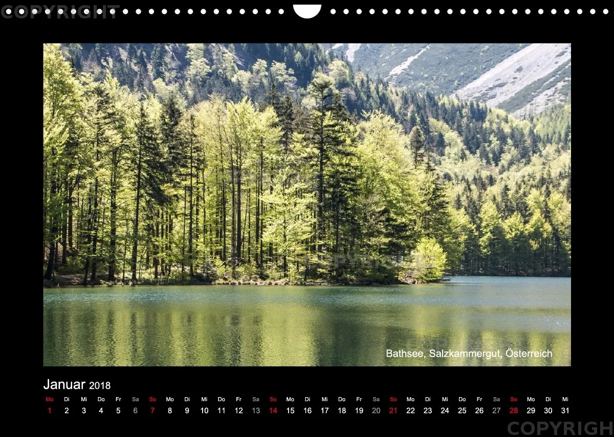 Fotokalender / Nr. 42