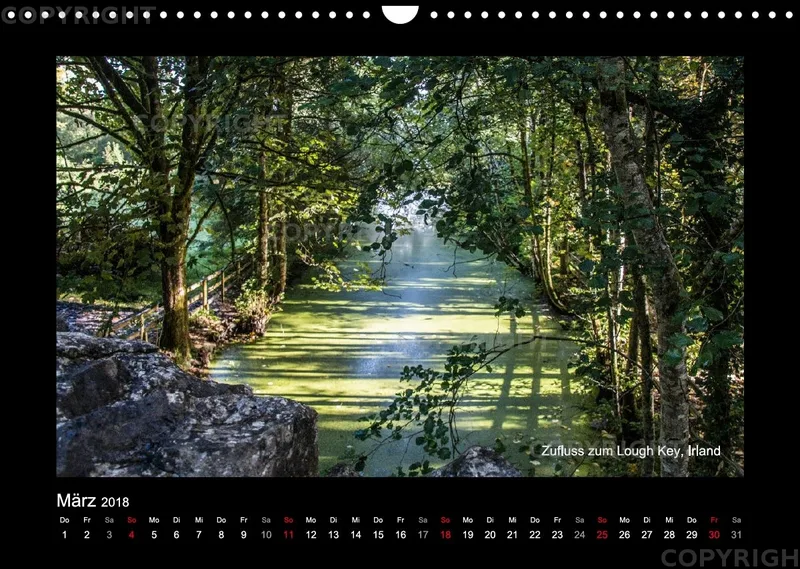 Fotokalender / Nr. 42