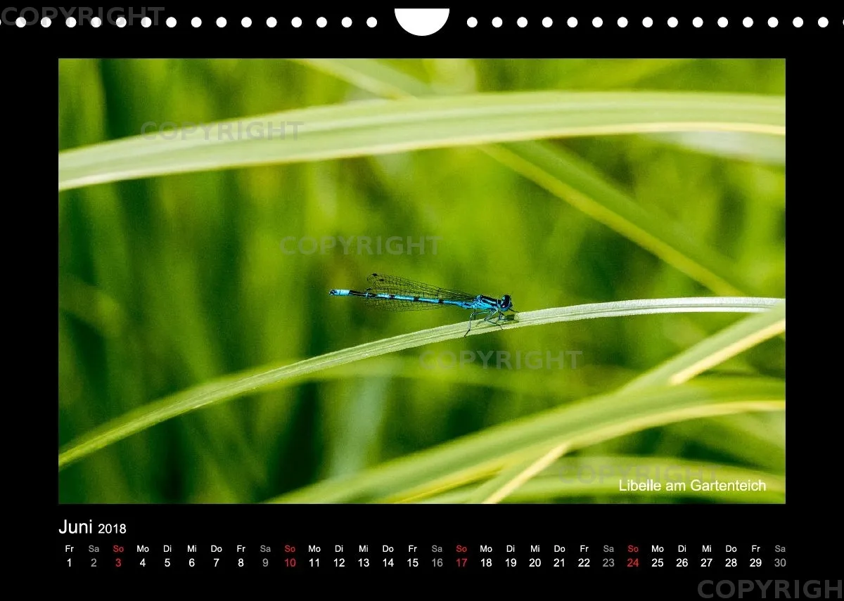 Fotokalender / Nr. 43