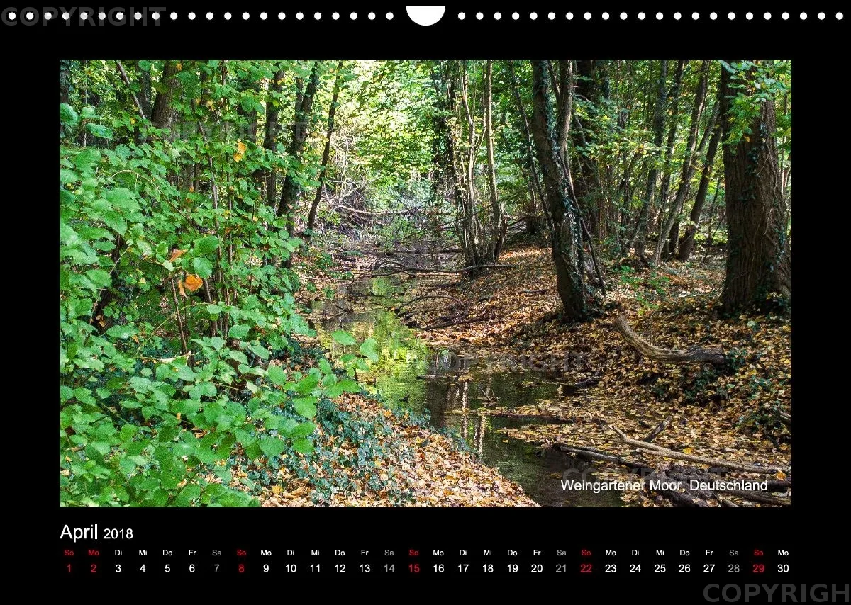 Fotokalender / Nr. 42