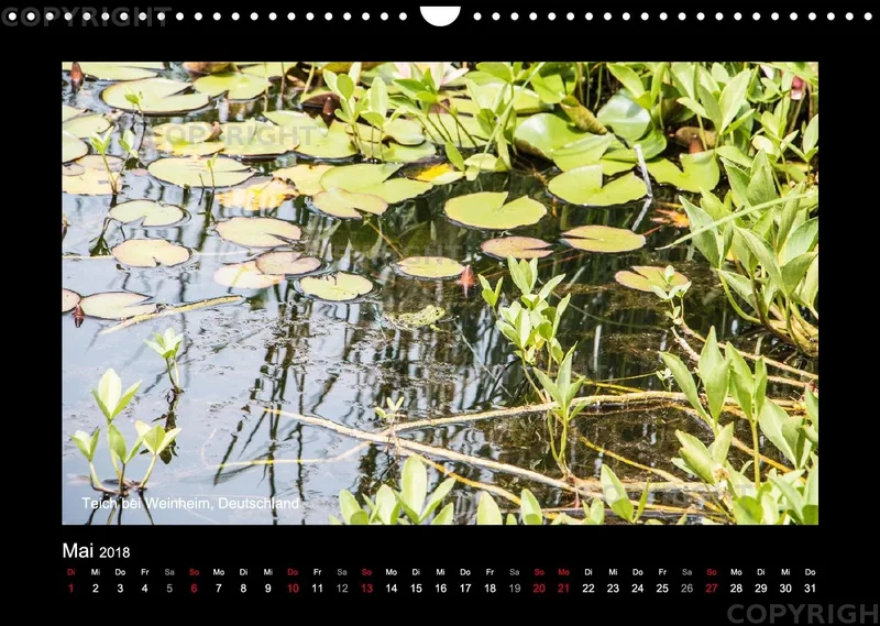 Fotokalender / Nr. 42