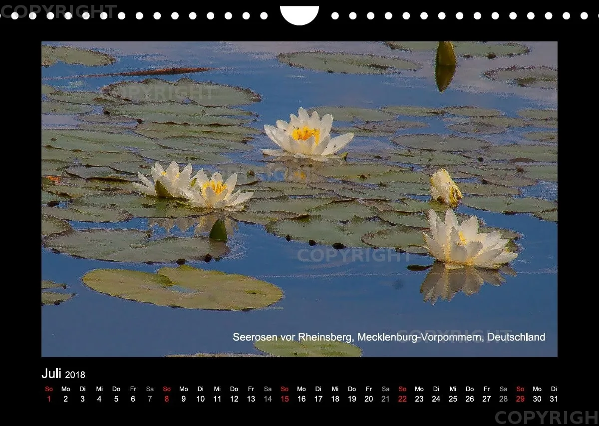 Fotokalender / Nr. 43