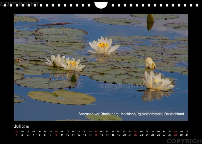Fotokalender / Nr. 43