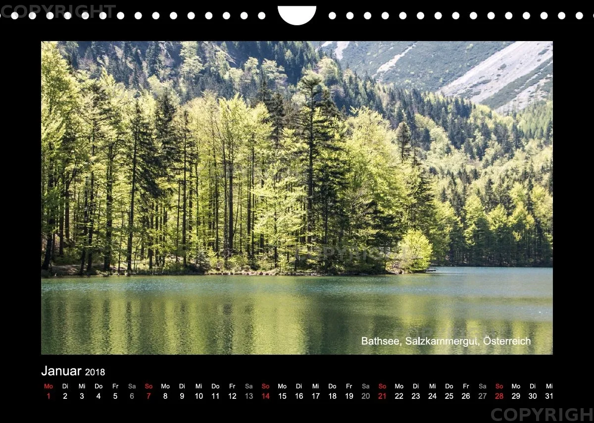 Fotokalender / Nr. 43