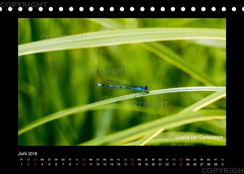Tischkalender A5