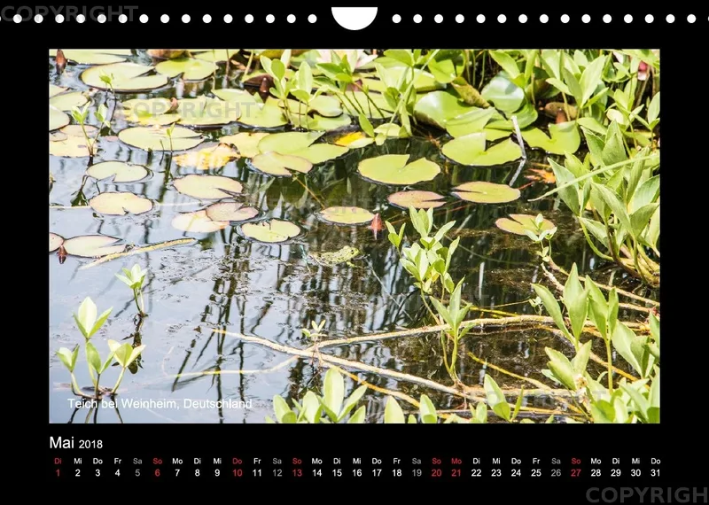 Fotokalender / Nr. 43