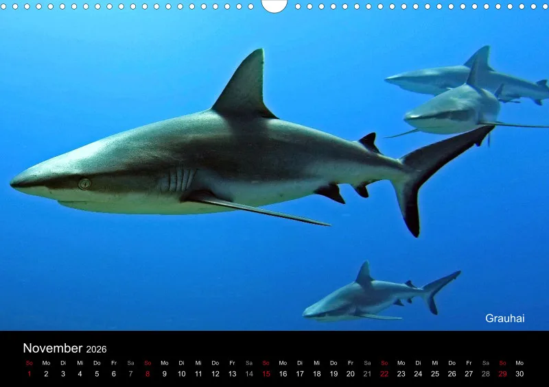 2026 Unterwasser