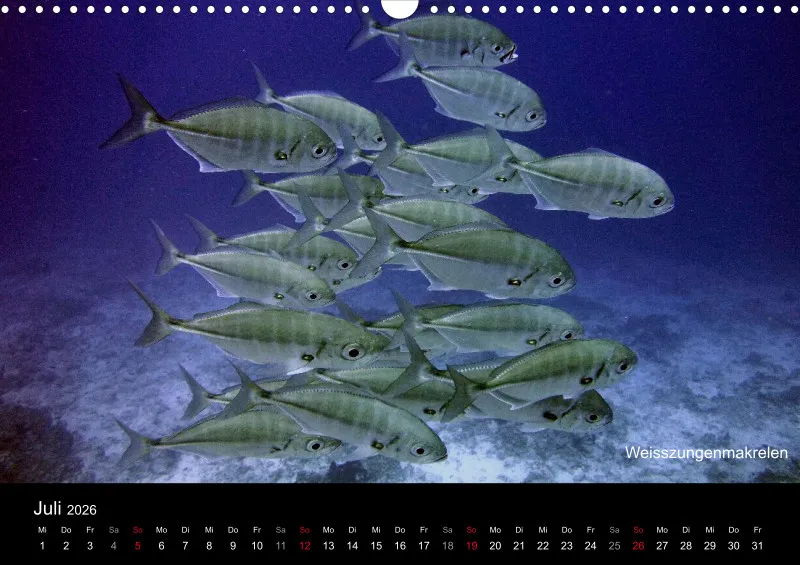 2026 Unterwasser