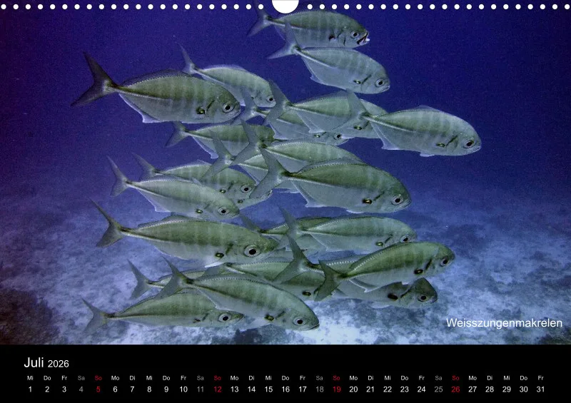 2026 Unterwasser