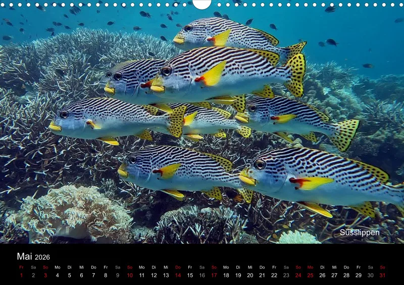 2026 Unterwasser
