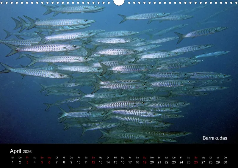 2026 Unterwasser
