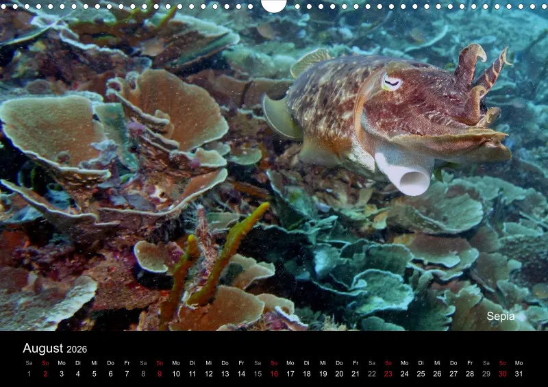 2026 Unterwasser