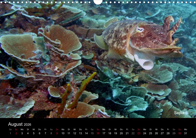 2026 Unterwasser