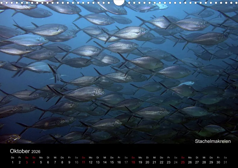 2026 Unterwasser