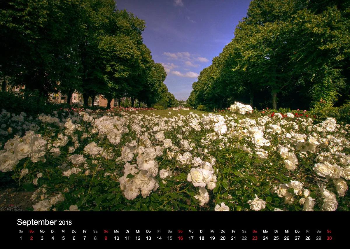 Fotokalender / Nr. 26