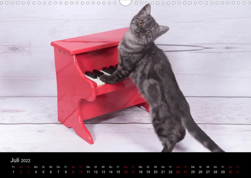 Katzen 2022
