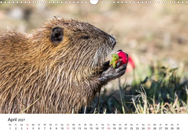 NUTRIA