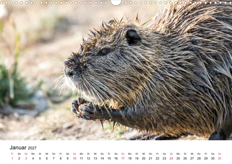NUTRIA