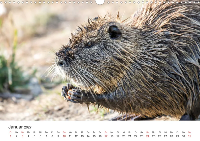 NUTRIA