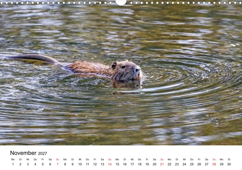 NUTRIA