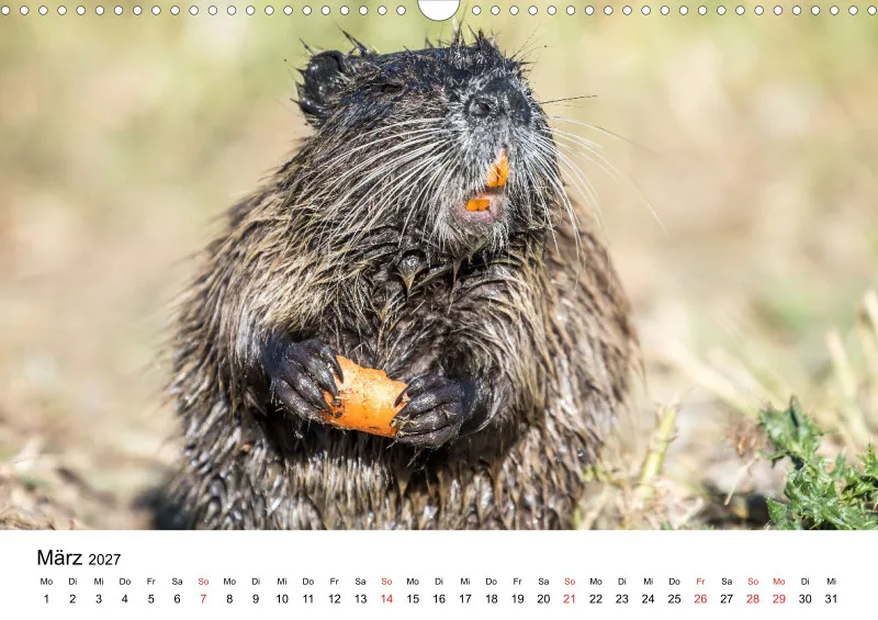 NUTRIA