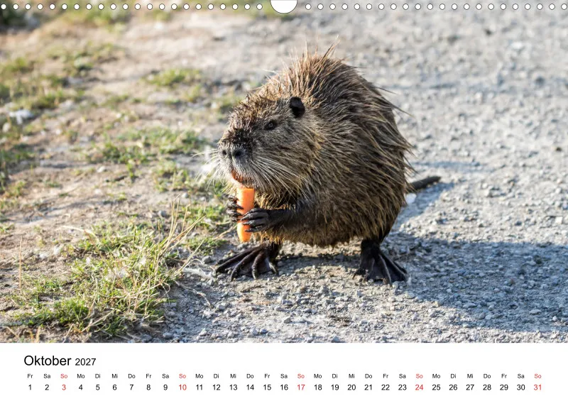 NUTRIA