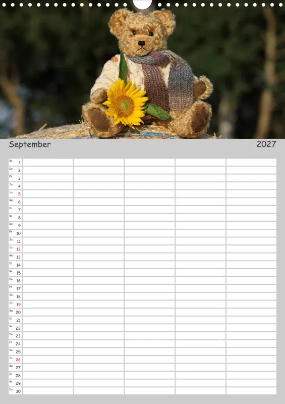 Teddy / Familienplaner