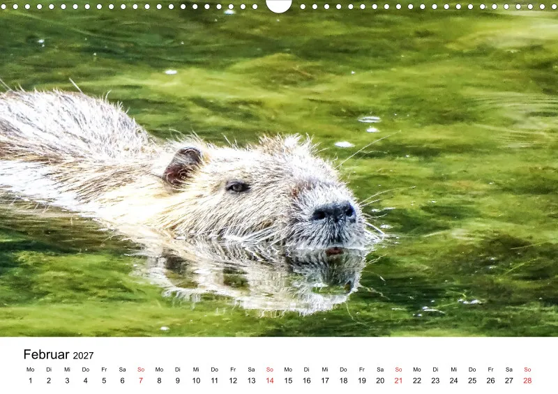 NUTRIA