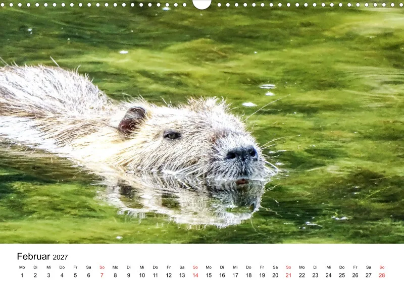 NUTRIA