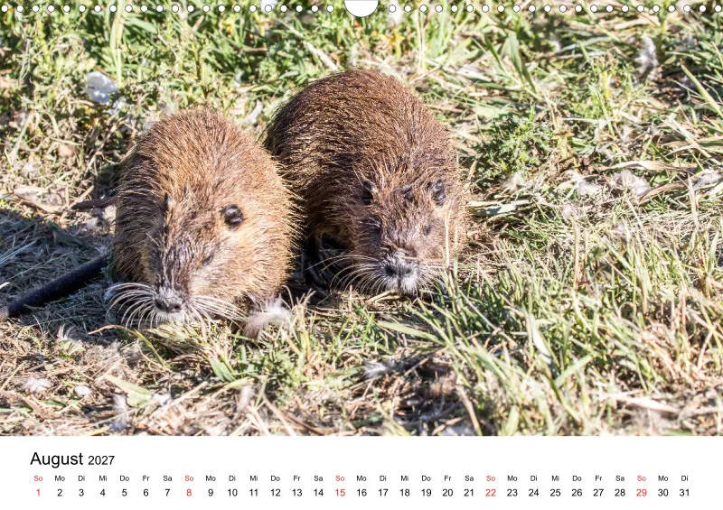 NUTRIA