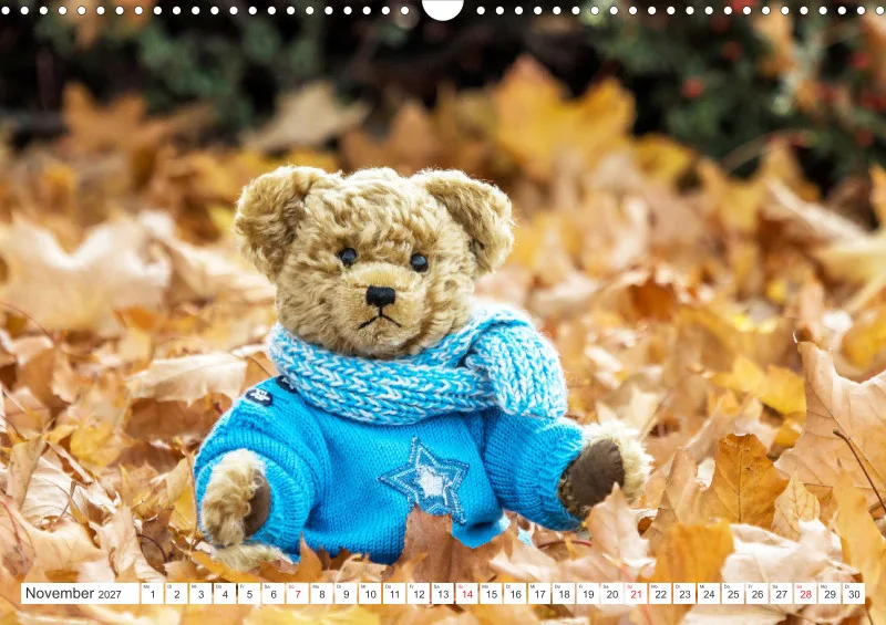 Teddy Sammy unterwegs