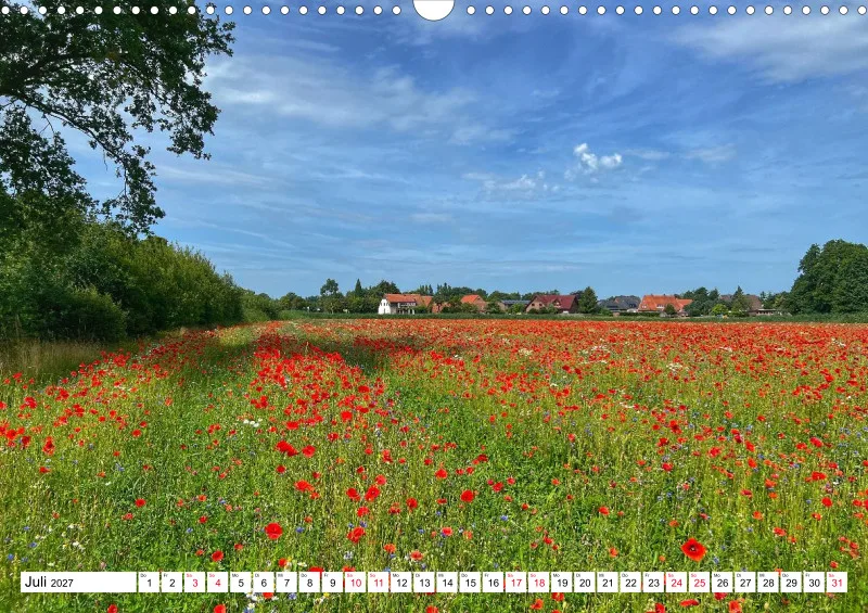 Emsland Natur Weite Heimat
