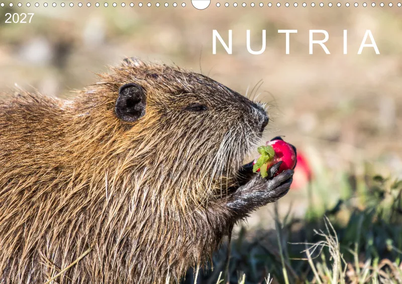 NUTRIA