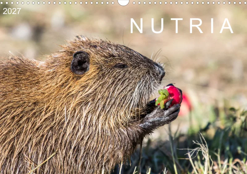 NUTRIA