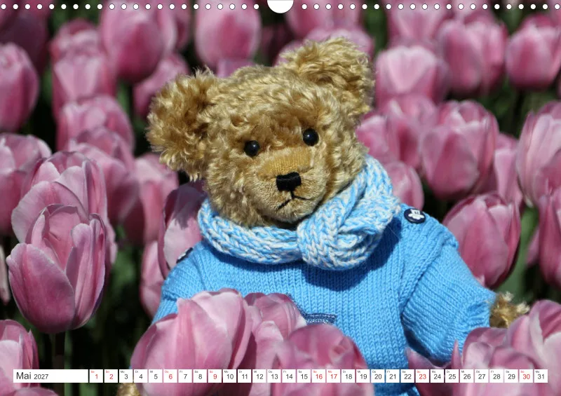 Teddy Sammy unterwegs
