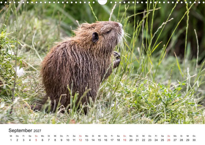 NUTRIA
