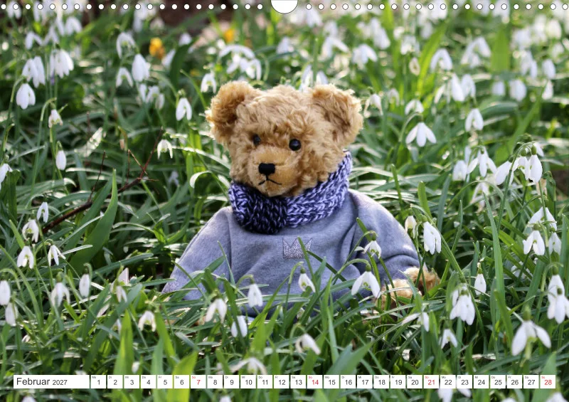 Teddy Sammy unterwegs
