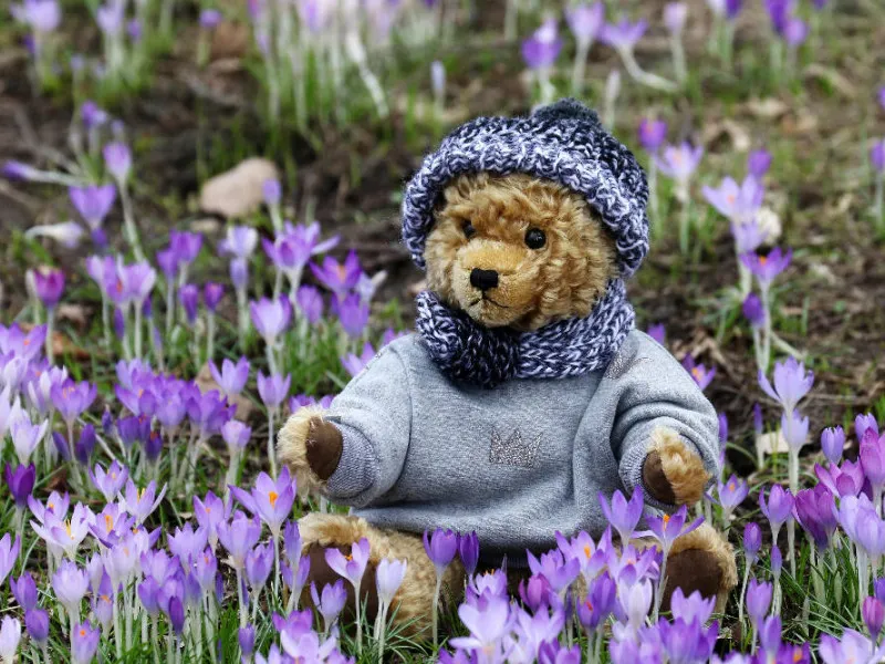 Frühling