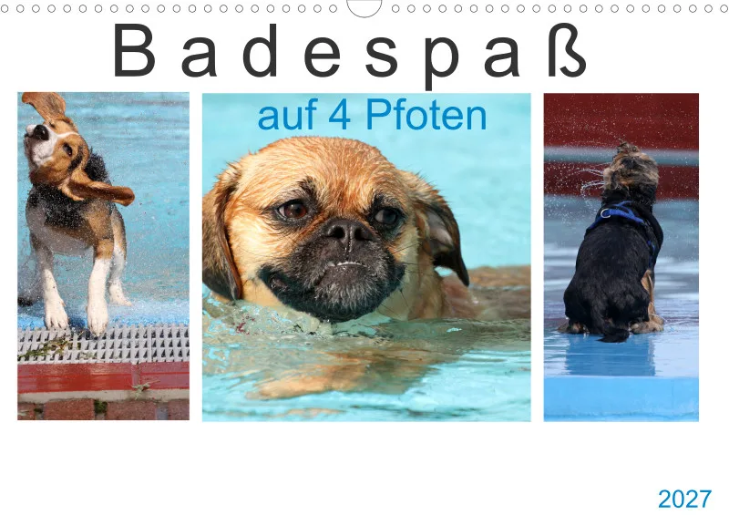 Badespaß auf 4 Pfoten