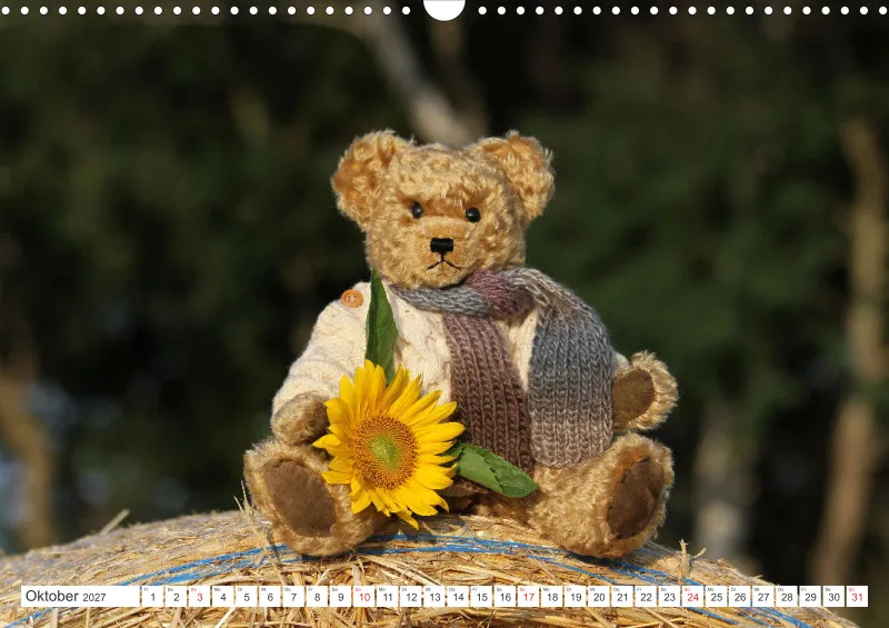 Teddy Sammy unterwegs