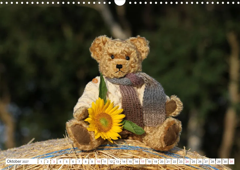 Teddy Sammy unterwegs