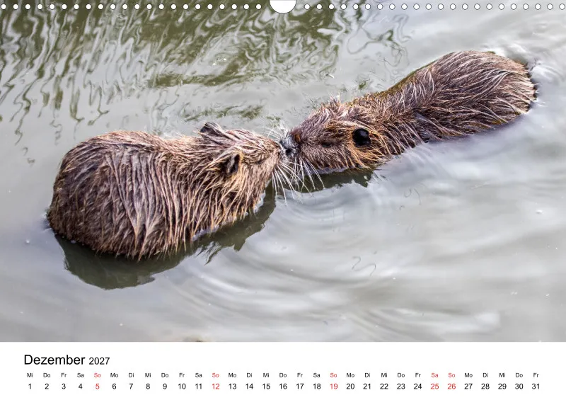 NUTRIA
