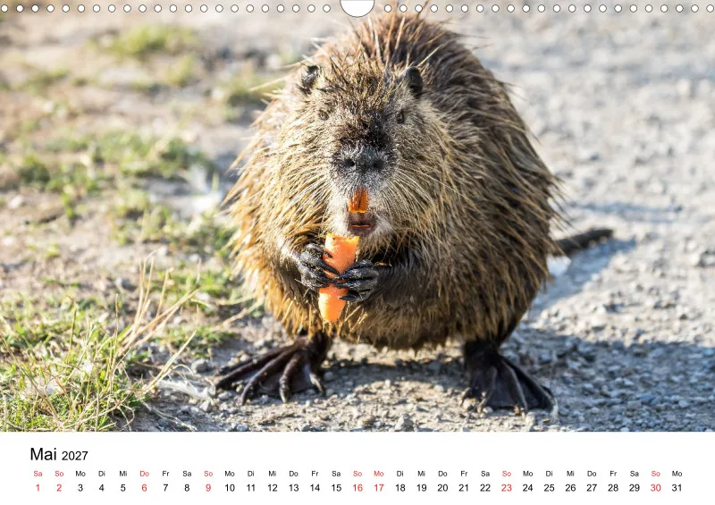 NUTRIA