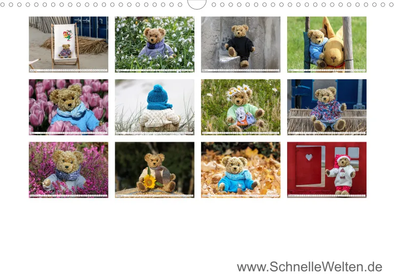 Teddy Sammy unterwegs