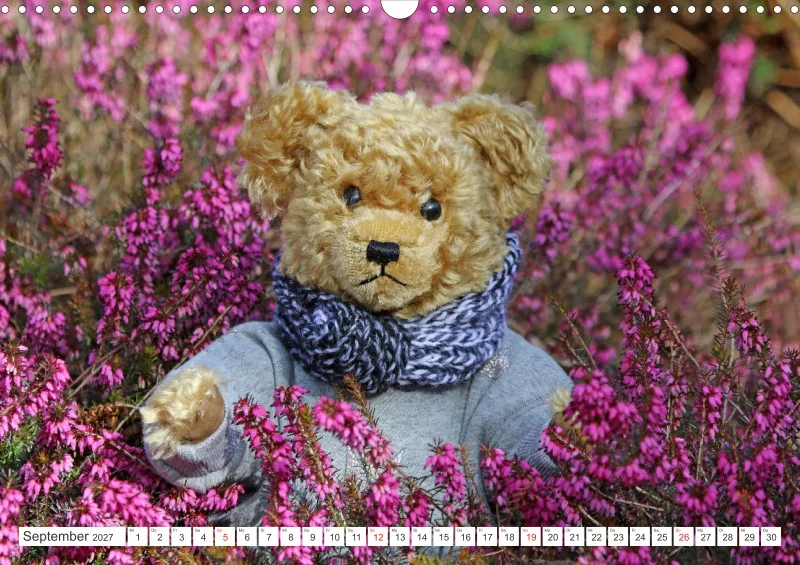 Teddy Sammy unterwegs