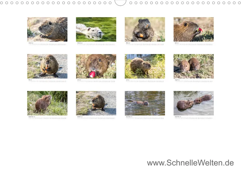 NUTRIA