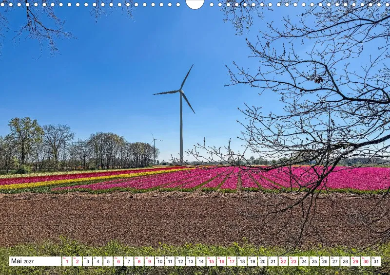 Emsland Natur Weite Heimat