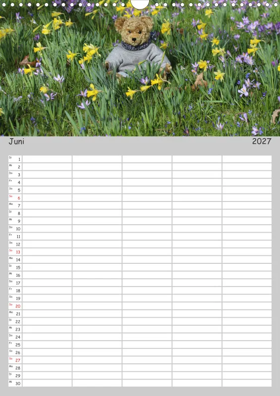 Teddy / Familienplaner