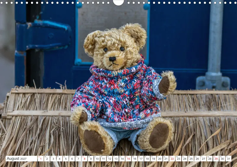 Teddy Sammy unterwegs