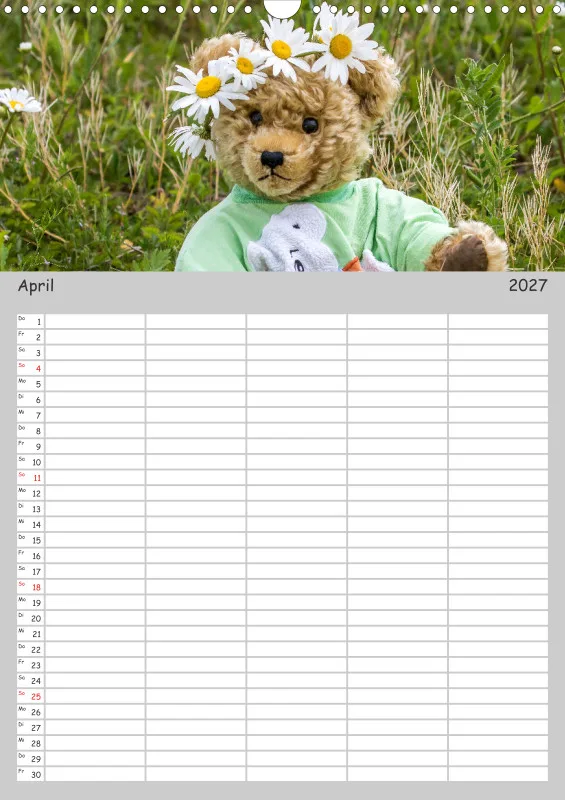 Teddy / Familienplaner